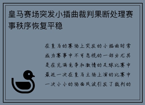 皇马赛场突发小插曲裁判果断处理赛事秩序恢复平稳